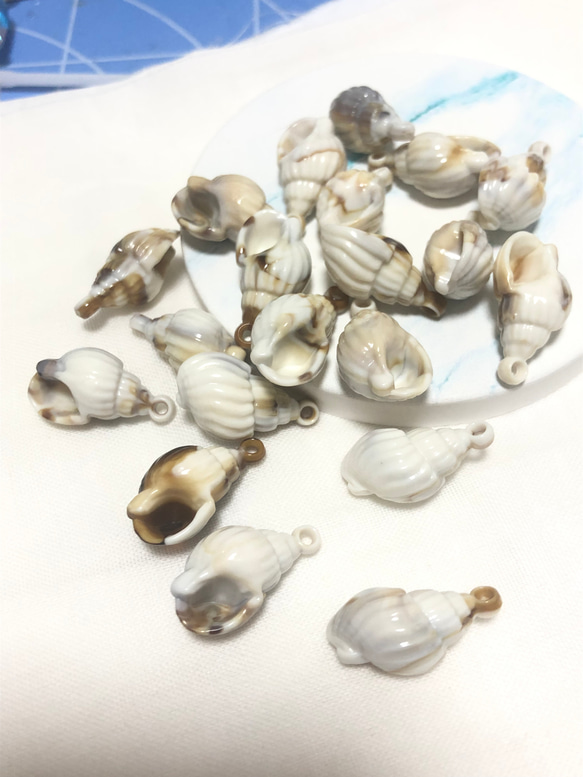 巻貝  貝殻モチーフ カン付きチャーム 1枚目の画像