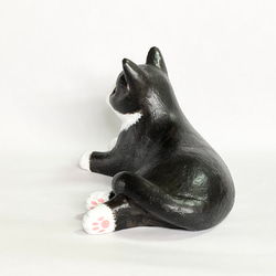 黑白八件貓雕像 第11張的照片
