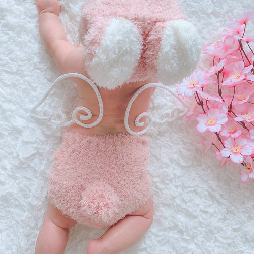 ウールレター ハーフバースデー ウールレター のおすすめ人気通販 検索結果