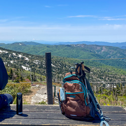 帆布のミニポーチ【バイカラー】/コインケース 17枚目の画像