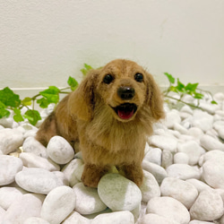 オーダー　犬♡再現　ウチのコそっくり♡ダックス　ずっとそばに♡メモリアル 7枚目の画像