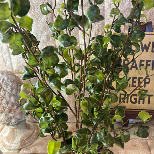 光触媒　人工観葉植物　ウォールグリーン　フェイク　フラワー　oオリーブとバロック 光触媒 人工観葉植物 ウォールグリーン フェイク フラワー o