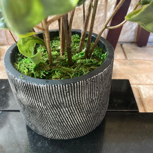 光触媒　人工観葉植物　ウォールグリーン　フェイク　フラワー　oオリーブとバロック 光触媒 人工観葉植物 ウォールグリーン フェイク フラワー o