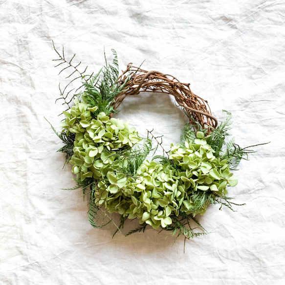 アナベルリース Amazon｜プリザーブドフラワーFiNE プリザーブドフラワー