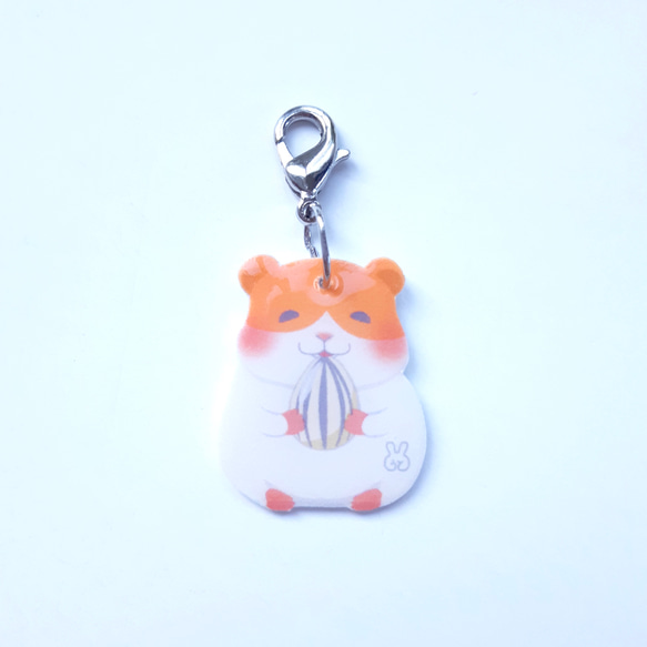 ヒマワリの種大好き♡ハムスター ジャンガリアン】ひまわりの種を食べるハムスターがかわいい