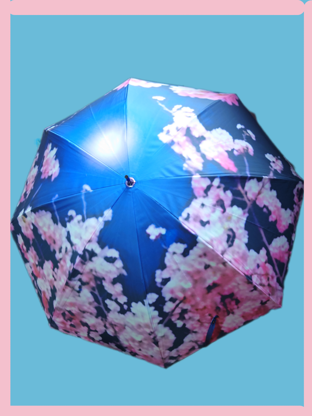 桜月の雨傘