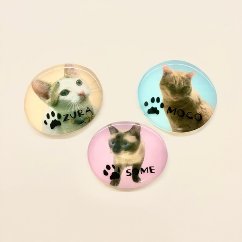 肉球キーホルダー 犬 猫 ペット おもちゃ・ペット小物 petit