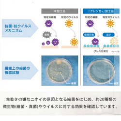 ハートのナスカン付きポケットティッシュポーチ  内側は抗菌 抗ウィルス生地  /すいか 夏 5枚目の画像