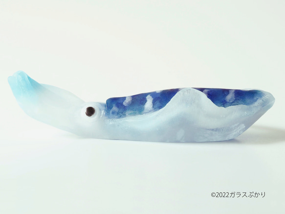 ガラス「海イカ」/ オブジェ　置物 3枚目の画像