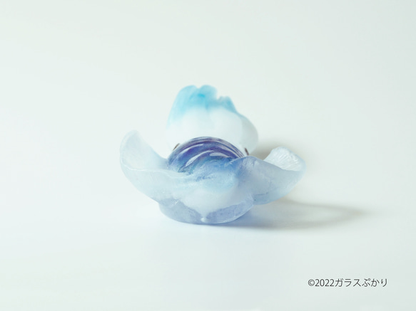 ガラス「海イカ」/ オブジェ　置物 5枚目の画像