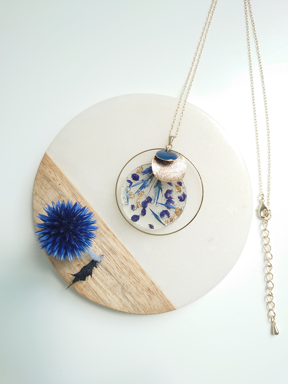 Blue Moon Flowers Lapis lazuli ball thistle &amp; Phosphorus Flo 第4張的照片