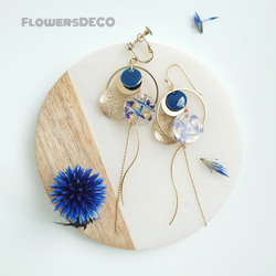 Blue Moon Flowers Lapis lazuli ball thistle &amp; Phosphorus Flo 第8張的照片