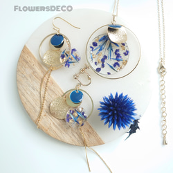 Blue Moon Flowers Lapis lazuli ball thistle &amp; Phosphorus Flo 第7張的照片