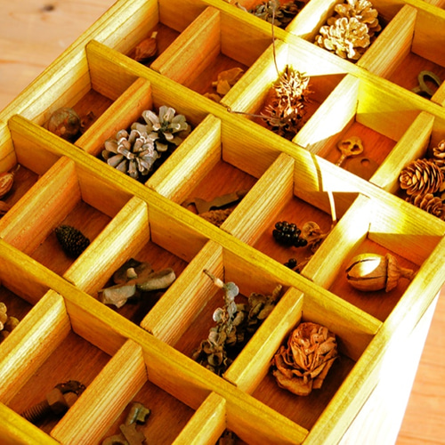 木製標本箱セット（黒）　4箱 楽天市場】標本箱木箱の通販