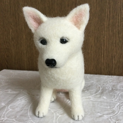 羊毛フェルト 白柴 白い犬 羊毛フェルト masapan 通販 14418027