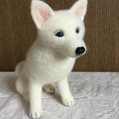 羊毛フェルト 白柴 白い犬 羊毛フェルト masapan 通販 14418027