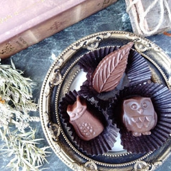 ふくろうのチョコレート型（22）　シリコン型　シリコンモールド　お菓子　手作り　プレゼント 3枚目の画像