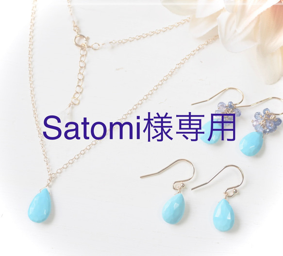 Satomi様専用 1枚目の画像