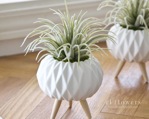ティランドシア（エアプランツ）フェイク多肉ポット 多肉植物 el