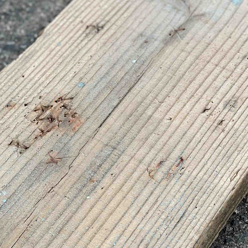 古民家　床板　5枚組　長201.5cm 古民家床板5枚組長201.5cm