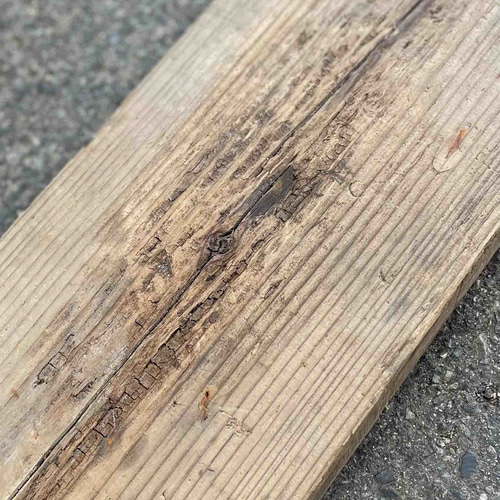 一枚板 サワラ 無節 DIY インテリア 壁板 床材 足場板 60枚 一枚板 サワラ 無節 DIY インテリア 壁板 床材 足場板 60枚