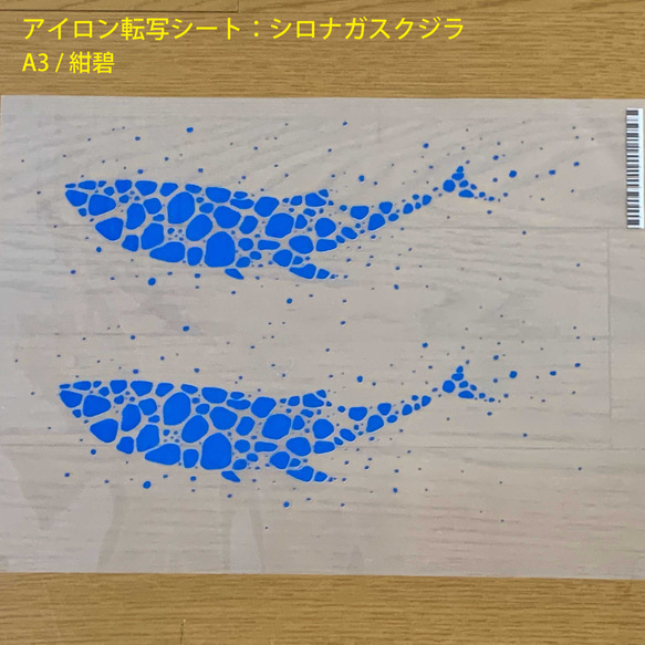 シロナガスクジラの熱転写シート（A3） 5枚目の画像
