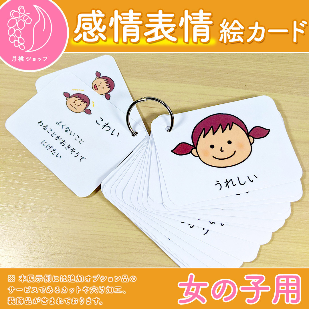 しつけ絵カード 女の子用 視覚支援 発達障害 自閉症 保育教材