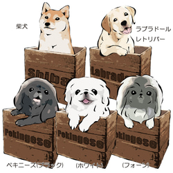 【受注生産】箱入り犬シリーズ 長そでTシャツ　コーギー　パグ　ペキニーズ　柴犬　チワワ　プードル　ビーグル 3枚目の画像