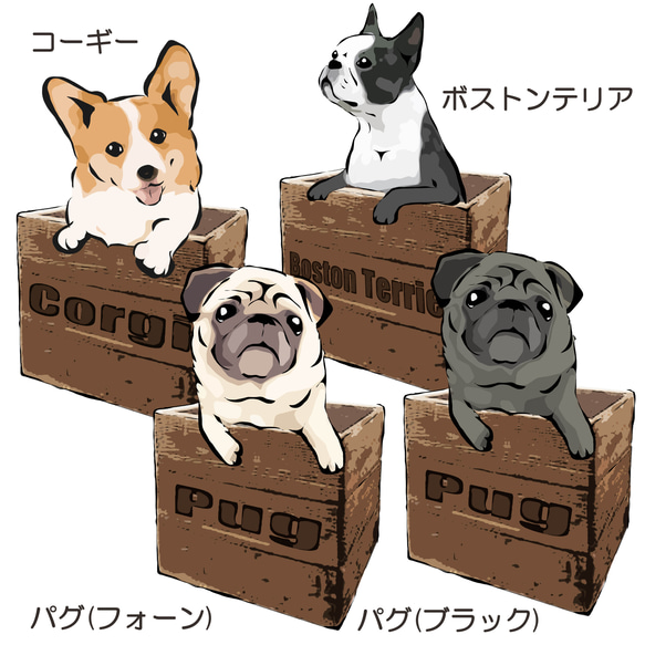 【受注生産】箱入り犬シリーズ 長そでTシャツ　コーギー　パグ　ペキニーズ　柴犬　チワワ　プードル　ビーグル 2枚目の画像