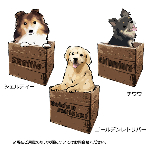 【受注生産】箱入り犬シリーズ 長そでTシャツ　コーギー　パグ　ペキニーズ　柴犬　チワワ　プードル　ビーグル 4枚目の画像