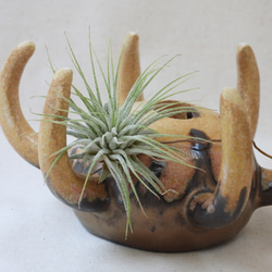 多足系陶製植木鉢(金) 8枚目の画像