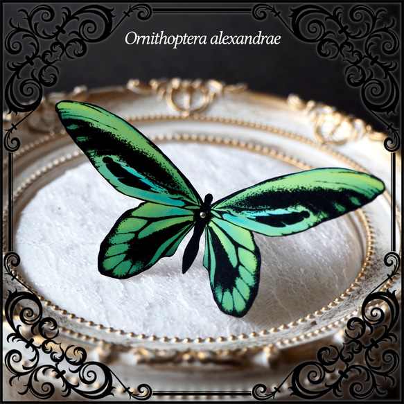 【 再販 】 ネックレス 小粒パール と 2種の緑蝶の盛り合わせ 8枚目の画像