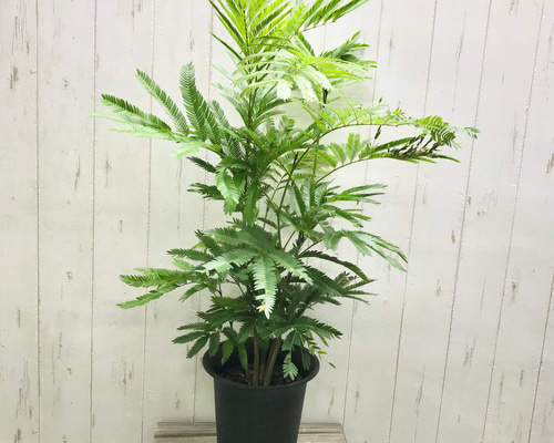 bbfd0099d2c96dfc4838ae378f7865