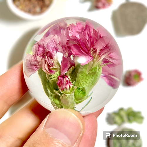 植物標本 額紫陽花 紫 レジン 鉱石型 ハーバリウム・植物標本 in