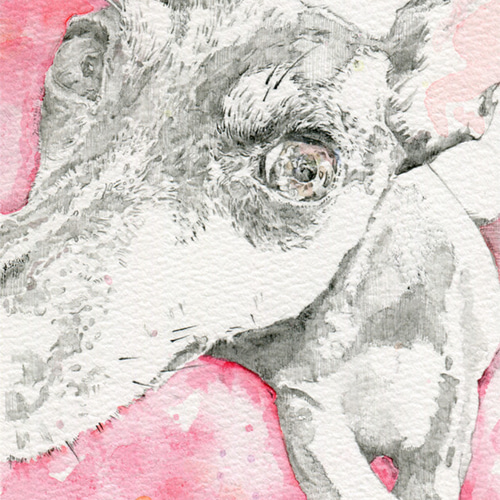 Red 【鉛筆画／水彩画】 絵画 bloache 通販 14422823｜Creema