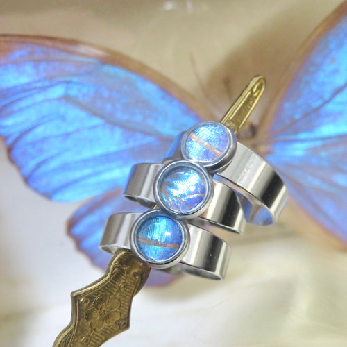 モルフォ蝶のプチリング／本物の蝶の羽根 指輪・リング ConNectarth