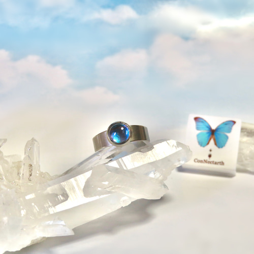 モルフォ蝶のプチリング／本物の蝶の羽根 指輪・リング ConNectarth