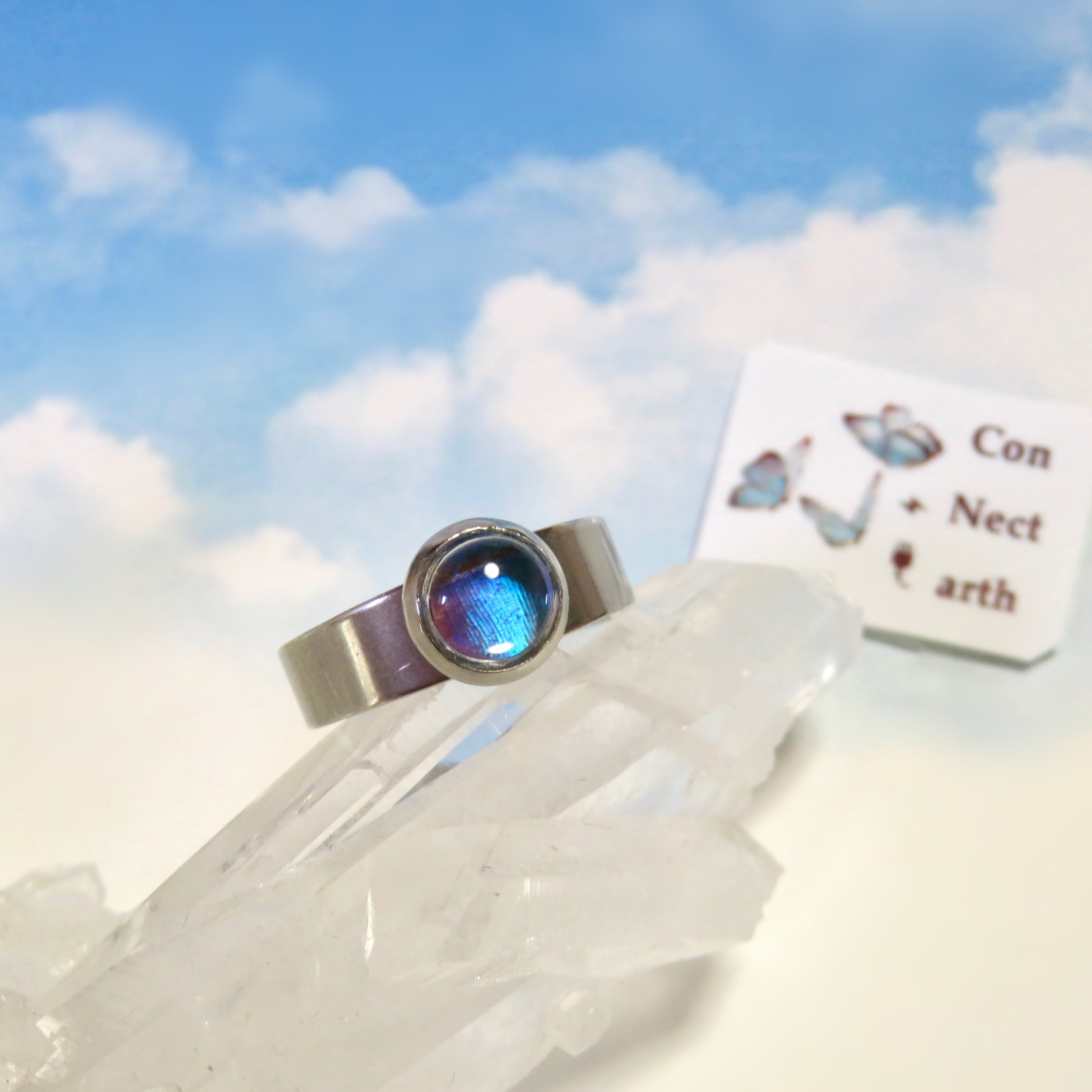 モルフォ蝶のプチリング／本物の蝶の羽根 指輪・リング ConNectarth