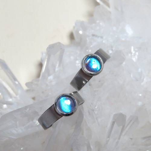 モルフォ蝶のプチリング／本物の蝶の羽根 指輪・リング ConNectarth