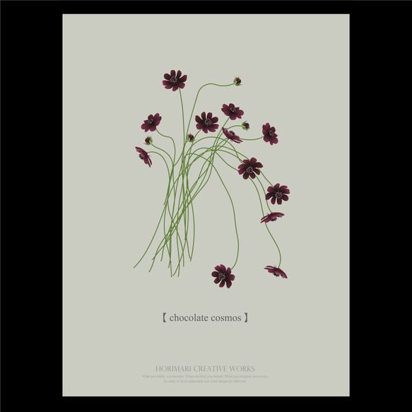 【大人っぽいチョコレートコスモスの花】インテリア アートポスター カラー展開 17枚目の画像