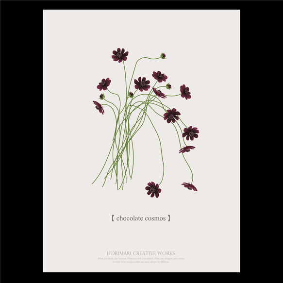 【大人っぽいチョコレートコスモスの花】インテリア アートポスター カラー展開 19枚目の画像