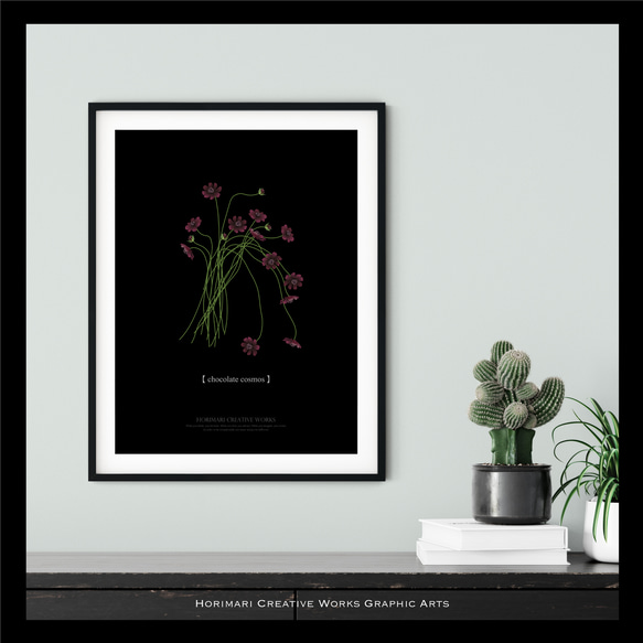 【大人っぽいチョコレートコスモスの花】インテリア アートポスター カラー展開 20枚目の画像