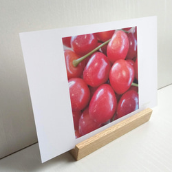 “櫻桃”照片明信片/3 張 naturako 第2張的照片