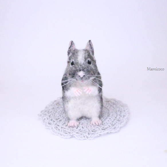ゆか様オーダー作品 デグー 羊毛フェルト Mamicoco 通販