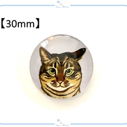 E275 カボション 猫 デザイン④【 8mm / 16mm / 30mm 】 ねこ ネコ ハンドメイド パーツ 3枚目の画像