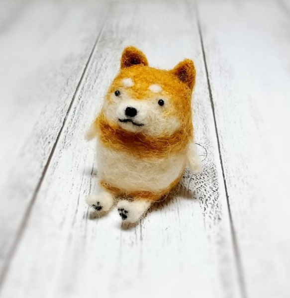 受注制作】おすわりゆる柴犬 羊毛フェルト 犬 羊毛フェルト 受注制作】おすわりゆる柴犬 羊毛フェルト 犬 羊毛フェルト