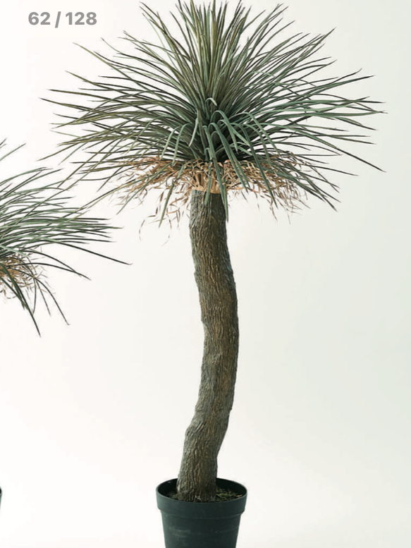 光触媒　人工観葉植物　ウォールグリーン　フェイクグリーン　ユッカロストラータ 楽天市場】ユッカ ロストラータ フェイクグリーン おしゃれ 人気