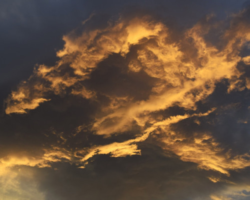 24f293d78ca8a4c757538cc99034c4