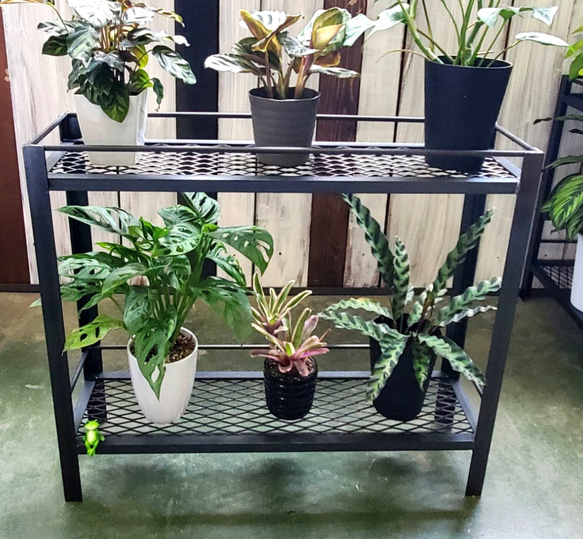 観葉植物 ラック》エキスパンドメタル / 植物棚 フラワー