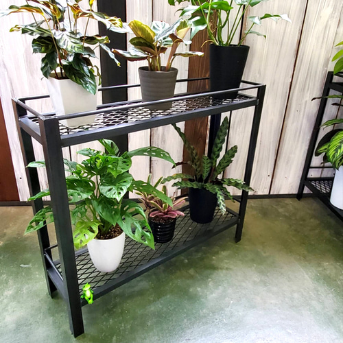 塗装前完成品　1台のみ　アイアン植物棚　ミニ植物棚　特別細めエキスパンドメタル 塗装前完成品 1台のみ アイアン植物棚 ミニ植物棚 特別細め